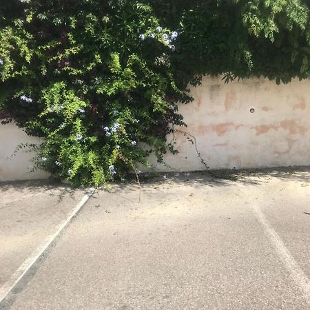 Studio 2 adultes 2 enfants Sanary sur Mer à 800m de la mer Eksteriør bilde