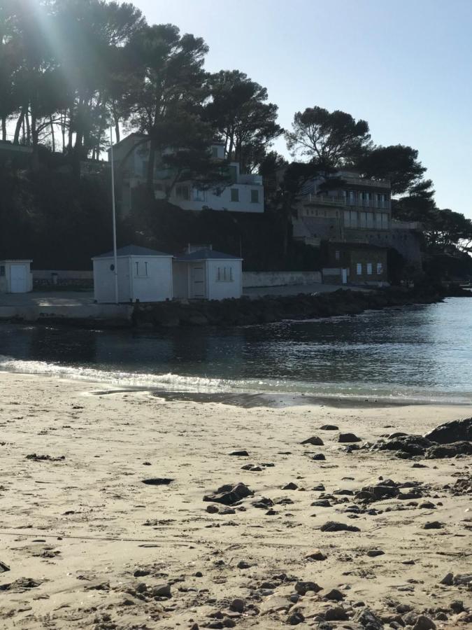 Studio 2 adultes 2 enfants Sanary sur Mer à 800m de la mer Eksteriør bilde